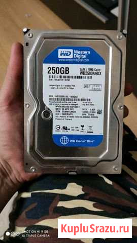 WD 250gb Усть-Донецкий - изображение 1