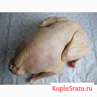 Мясо Домашней Бройлерной Индейки (биг 6) Богданович - изображение 1