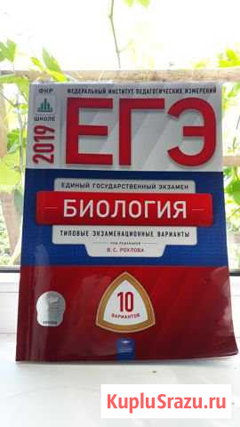 Биология егэ 2019, 10 вариантов, Рохлов Кумертау - изображение 1