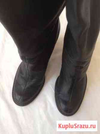 Сапоги 39 Carlo Pazolini Химки