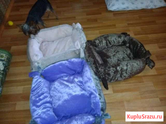 Лежаки для животных Анапа - изображение 1