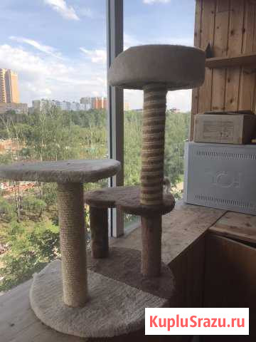 Игровая площадка для котёнка Одинцово - изображение 1