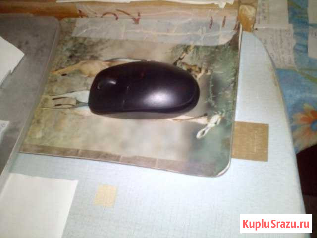 Mouse USB OKlick Крымск - изображение 1