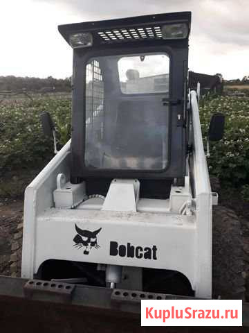 Продам погрузчик Bobcat 843 Янтарный - изображение 1