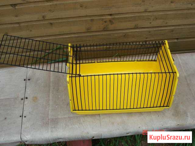 Перевозка для мелких животных Киржач - изображение 1