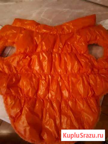 Жилет для собак Мытищи - изображение 1