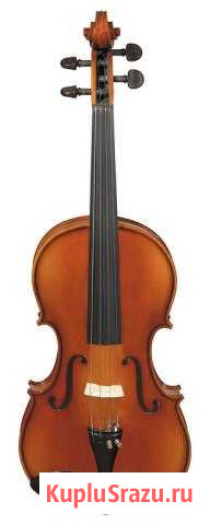 Скрипка студенческая hora V100-4/4 Москва - изображение 1