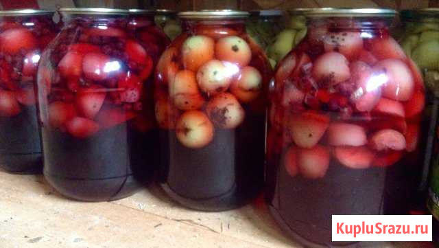 Компоты Сертолово - изображение 1