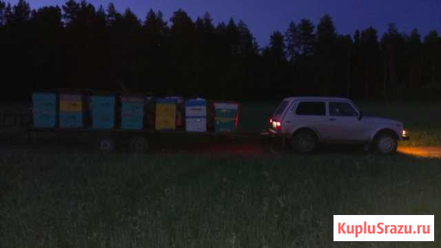 Прицеп для перевозки пчёл Балтаси - изображение 1