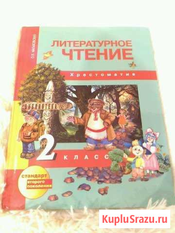 Литературное чтение 2 класс Ковров - изображение 1
