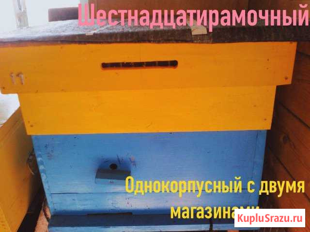 Новые ульи Лесной - изображение 1