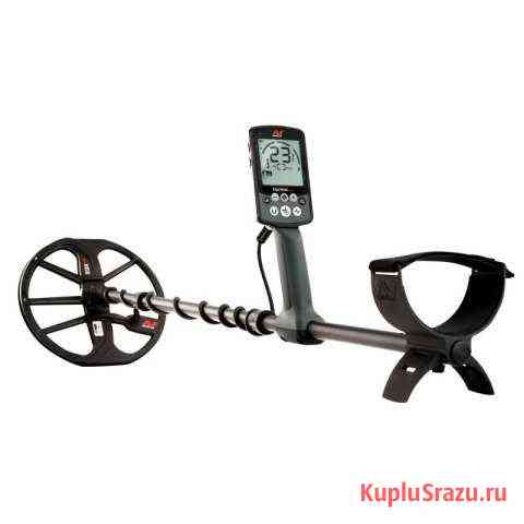 Minelab equinox 600 Магадан