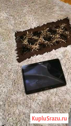 SAMSUNG GT-5200 Киселевск - изображение 1