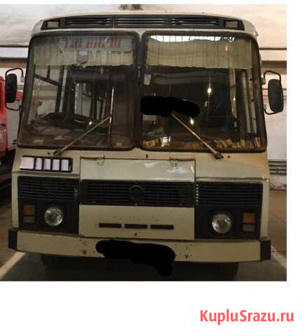Автобусы паз 3205 Николаевка - изображение 1