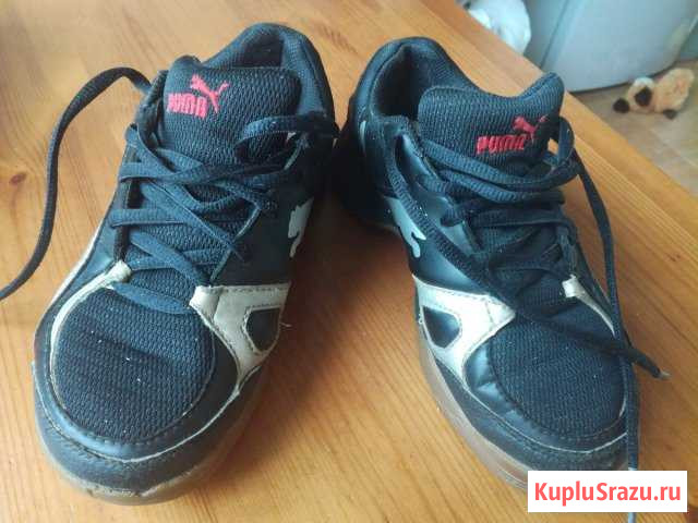 Кроссовки Puma Выборг - изображение 1