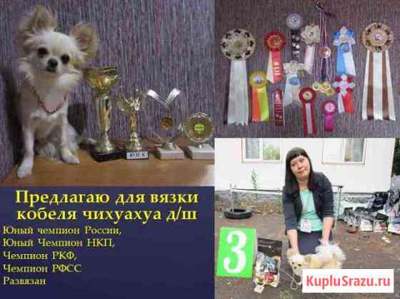 Вязка Ковров