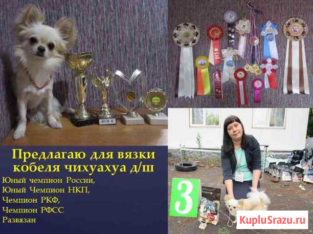 Вязка Ковров - изображение 1