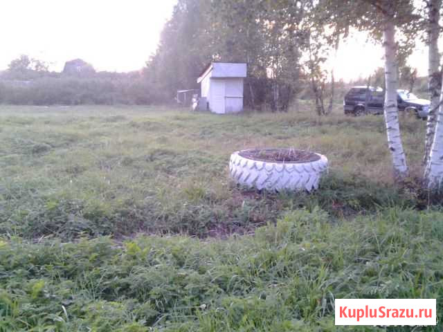  Кингисепп - изображение 1