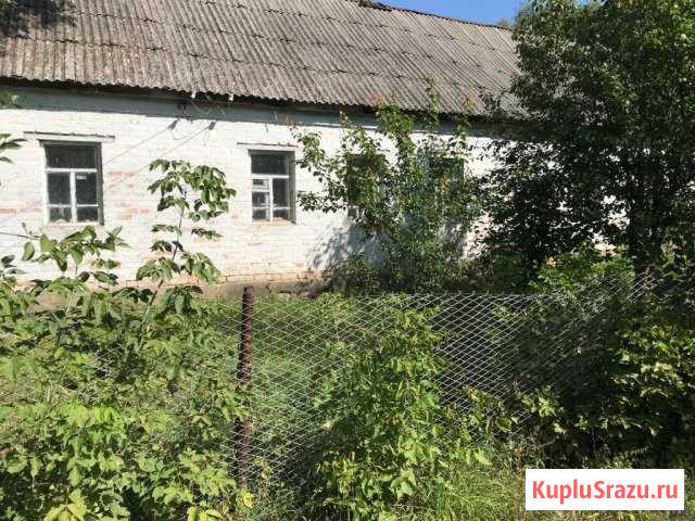 Дом 40 кв.м. на участке 31 сот. Волово - изображение 1