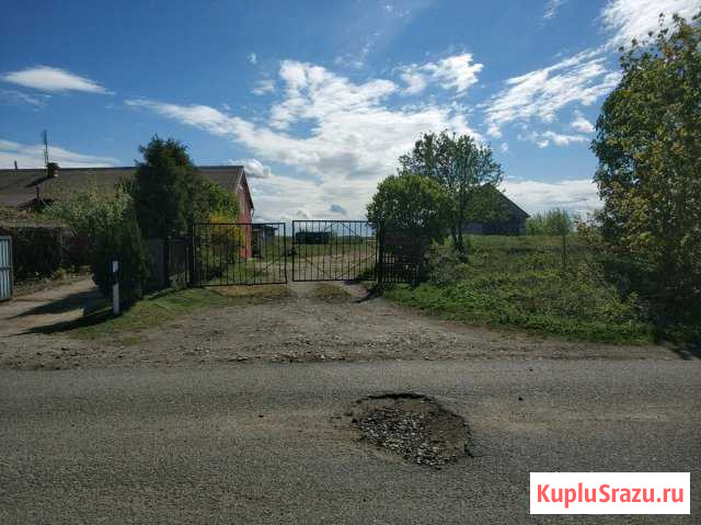 Продажа производственного, складского помещения Ладушкин - изображение 1