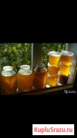 Мед 100 процентов натуральный Тюмень - изображение 1