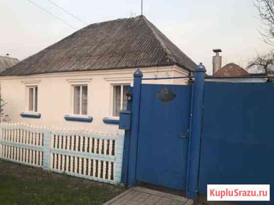 Дом 60 кв.м. на участке 6 сот. Шебекино