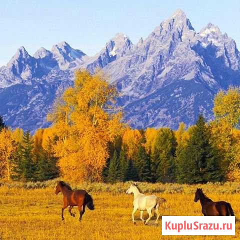  Каменномостский - изображение 1