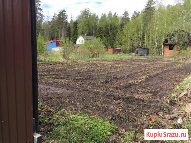 Дача 32 кв.м. на участке 11 сот. Черноголовка - изображение 1