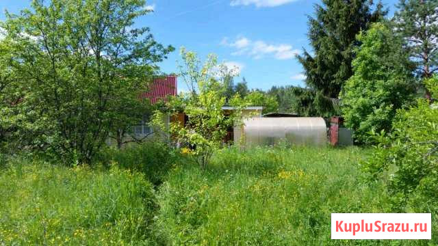 Дача 32 кв.м. на участке 6 сот. Любань - изображение 1