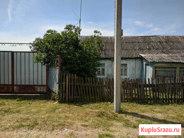 Дом 35 кв.м. на участке 48 сот. Красное - изображение 1