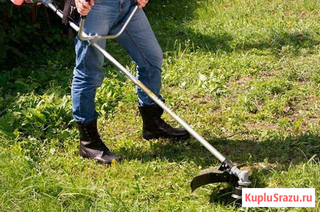 Покос травы, спил деревьев Воскресенск - изображение 1