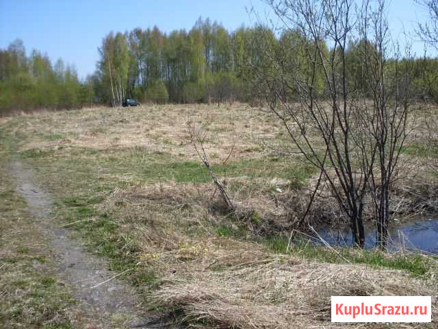  Кондопога - изображение 1