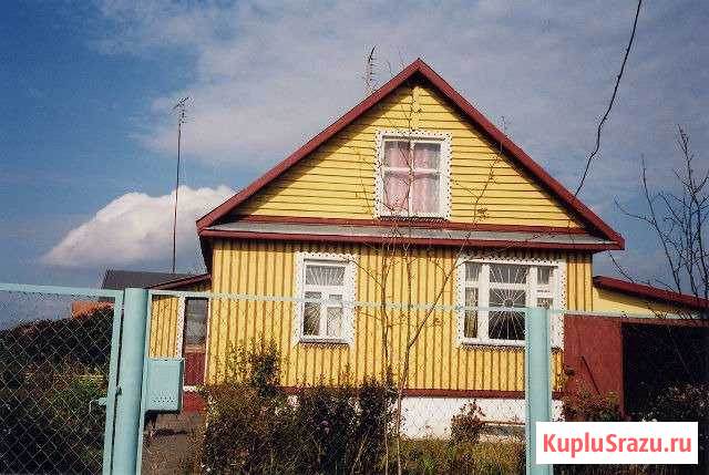 Дом 53 кв.м. на участке 23 сот. Новосмолинский - изображение 1
