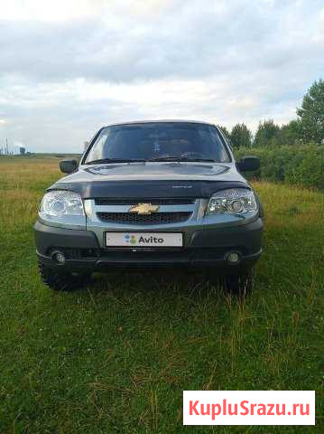 Chevrolet Niva 1.7 МТ, 2011, внедорожник Дорогобуж - изображение 1