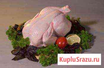 Продаю мясо кур Кстово