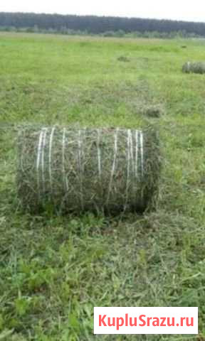 Сено Новоржев - изображение 1