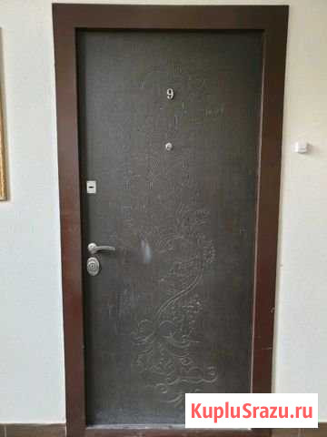 Дверь входная металлическая Бугры - изображение 1
