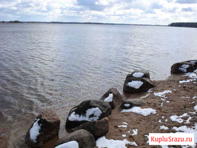  Демянск - изображение 1