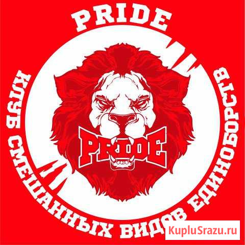 Занятия единоборствами для детей и взрослых Казань - изображение 1