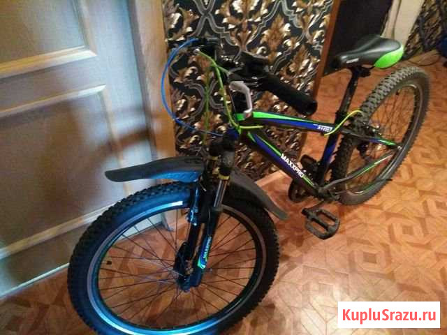 Maxxpro steely Заполярный - изображение 1