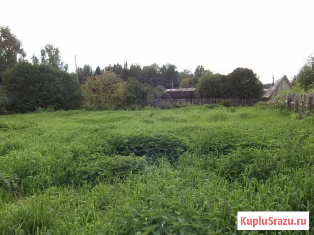  Карагай - изображение 1