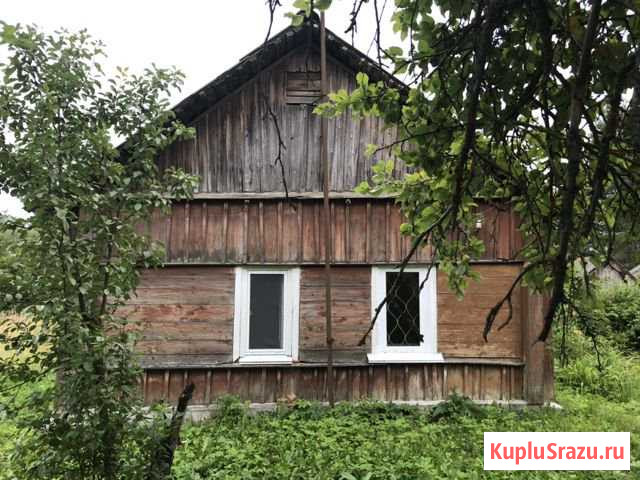 Дом 55 кв.м. на участке 25 сот. Голынки - изображение 1