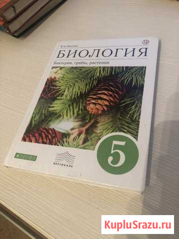 Учебники 4 класс и 5 класс Гатчина - изображение 1