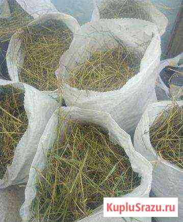 Сено в мешках с доставкой Самара