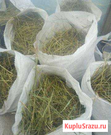 Сено в мешках с доставкой Самара - изображение 1