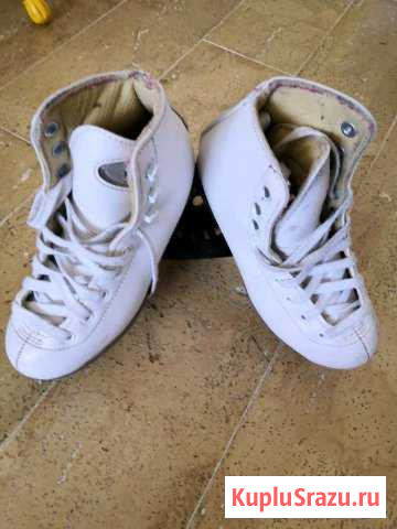 Коньки Тельмана - изображение 1