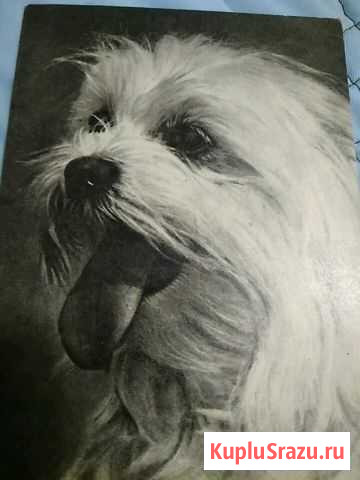 Открытка Подольск - изображение 1