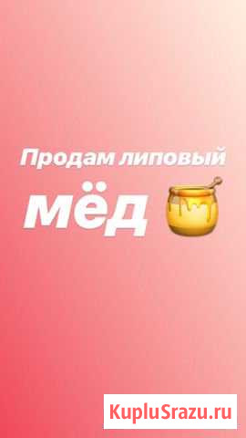 Липовый мёд Бикин - изображение 1