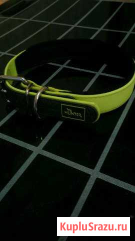 Ошейник из биотана Павловский Посад - изображение 1