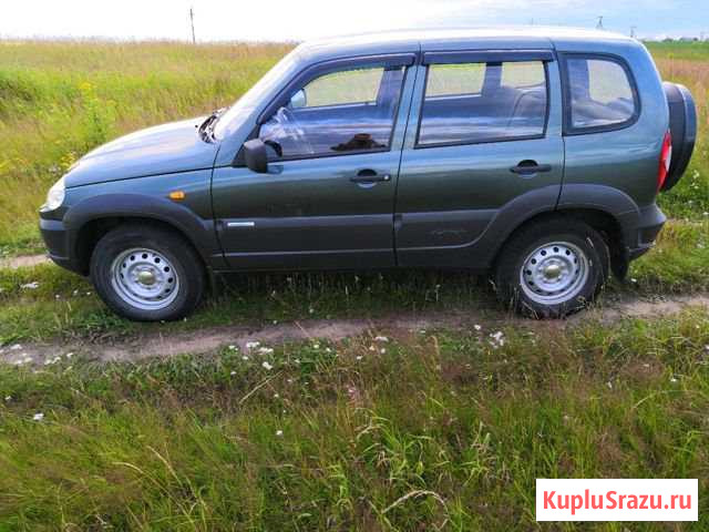 Chevrolet Niva 1.7 МТ, 2010, внедорожник Холмогоры - изображение 1